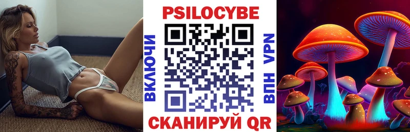 Псилоцибиновые грибы Psilocybine cubensis  Верхняя Тура 